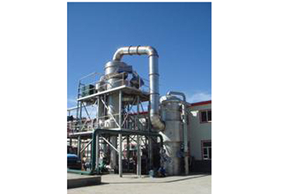 Tomato paste MVR evaporator for concentration processing