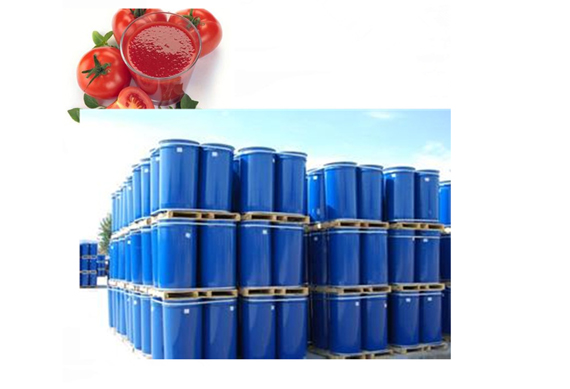 Tomato paste MVR evaporator for concentration processing