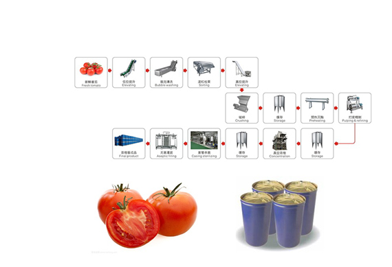 Tomato paste MVR evaporator for concentration processing