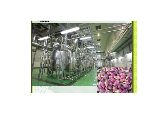 High efficiency prickly pear juice production plant