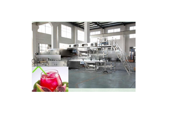 High efficiency prickly pear juice production plant