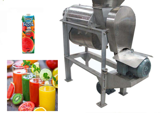 apple and pear crush screw type juicer