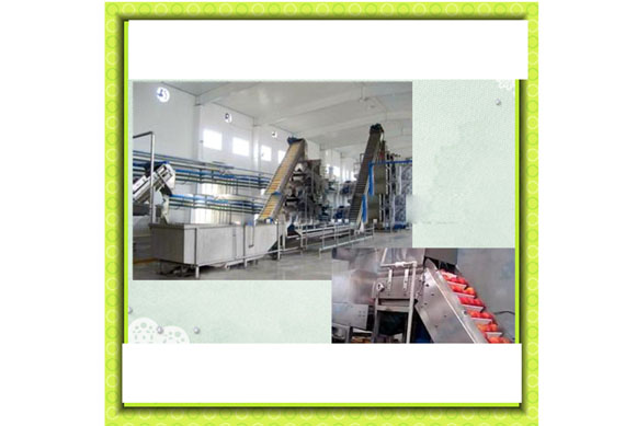 complete small tomato paste machines for tomato sauce processing