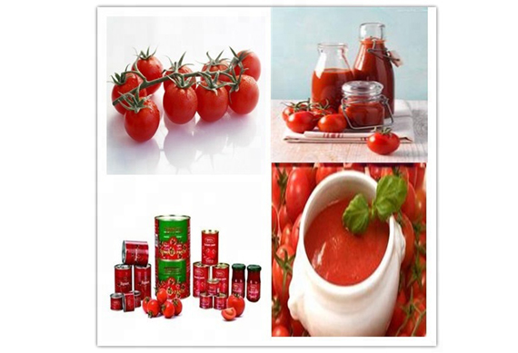 Best price tomato paste making machine/tomato paste production line/tomato sauce processing line