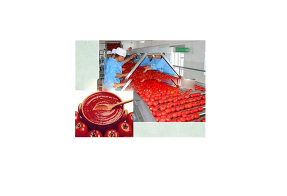 100kg-5000kg fresh tomato paste plant/equipment/machine/machinery for sale