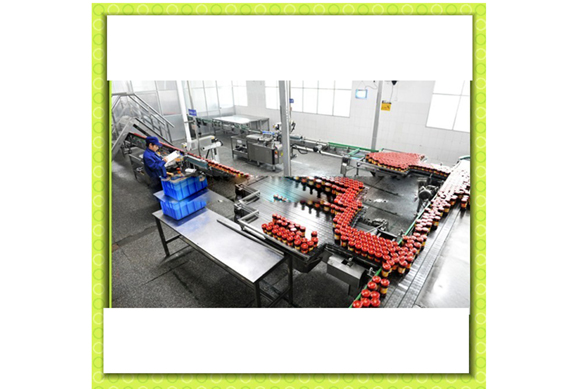 Industrial tomato sauce processing plant / ketchup processing machine