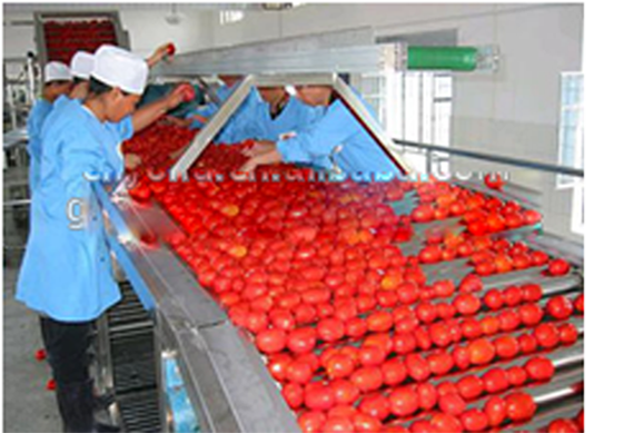 Multi-Function Liquid Packaging Machine /Tomato paste packing machine