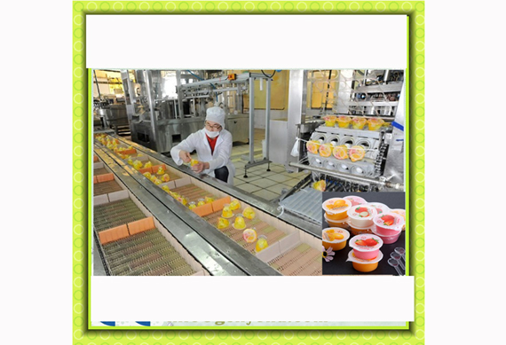 complete jelly / pudding snacks production line