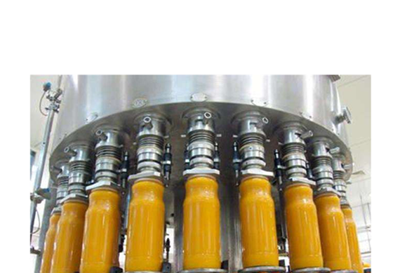 Complete Fruit Juice Processing Line