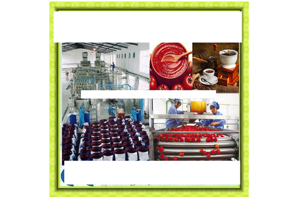 Hot sale tomato paste ketchup making machine/ tomato sauce processing machine