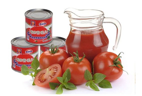 compleate concentrated tomato puree making machine