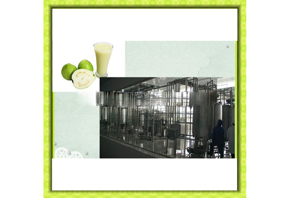 small scale guava juice processing equipment / guava juice processing line