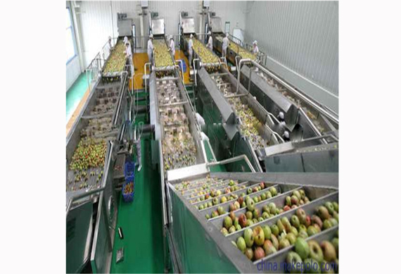 Mini apple juice production line for sale