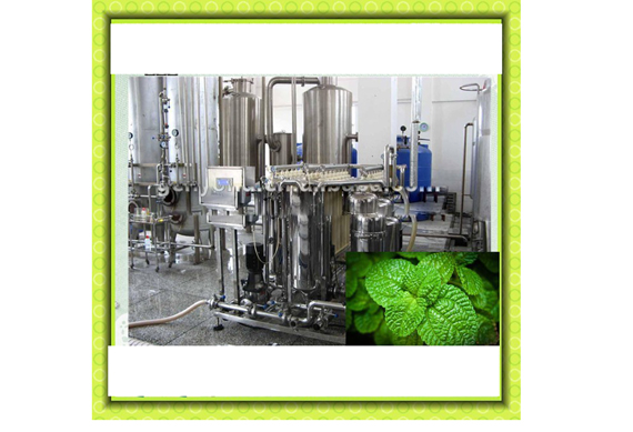 Commercial mint extract processing plant / mint syrup processing line