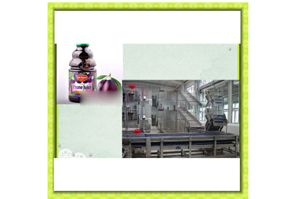 Complete prune juice concentrate production line / prune juice processing line