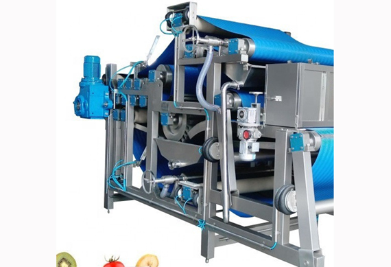 High Benefit Professional Apple Juicer Machine/Industrial Apple Juicer garlic juice and ginger juice machine