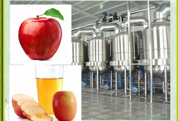 Small juice production machine/ complete juice production line/ juces concentrate