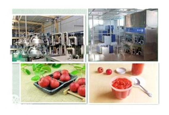 hawthorn/fruit/ tomato/ pineapple paste /juice / can/ jam machine with factory price