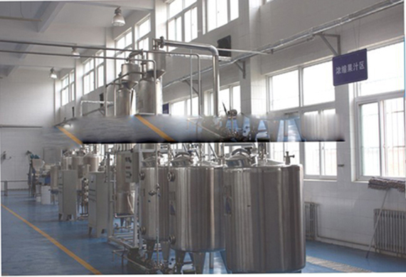 Complete date paste / date syrup production and packing line