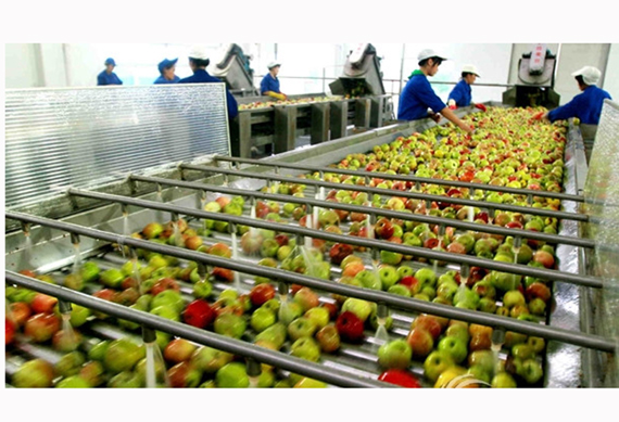 fruit juice processing plant price /juice filling machine production line