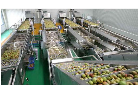 Apple orange fruit juice production line filling packing machine
