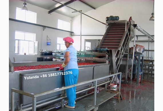 Tomato paste manufacturing machine