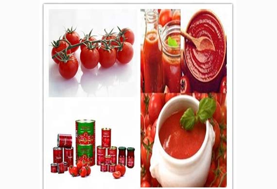 tomato paste production line/tomato ketchup making machine