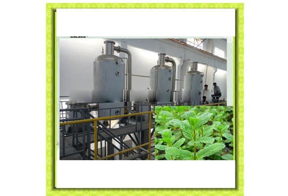 Complete mint extract processing machine / mint juice processing plant