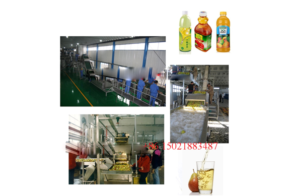 Mini fruit juice making machine