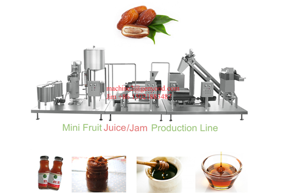 Mini fruit juice making machine