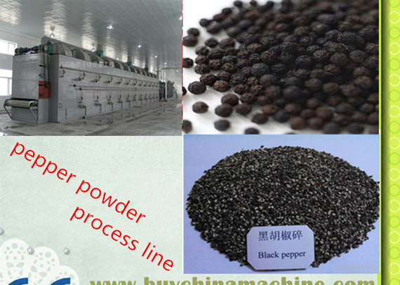 black pepper processing machine price