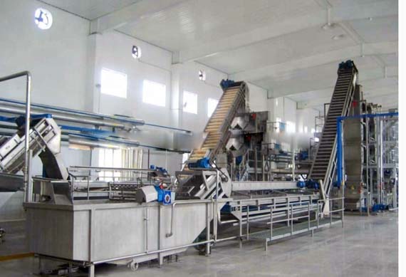 Factory price automatic canned tomato sauce fruit jam production line