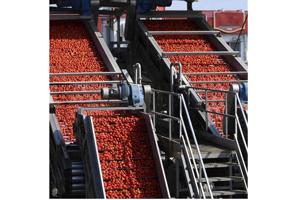 Tomato Paste Processing Line Ketchup Production Plant