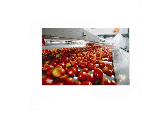 complete tomato paste Concentration paste processing equipment/machine