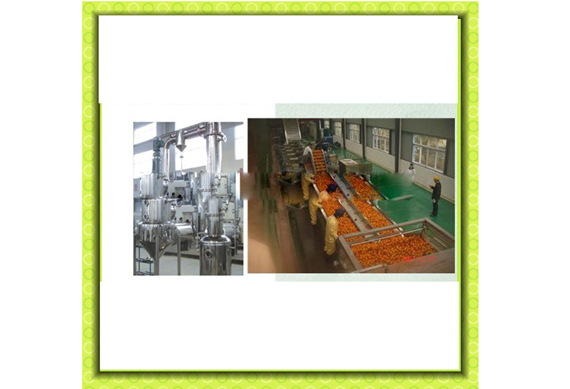 complete tomato paste Concentration paste processing equipment/machine