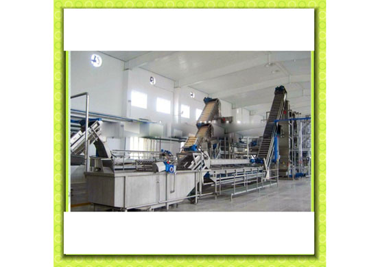 Commercial sweet tamarind juice concentrate processing plant