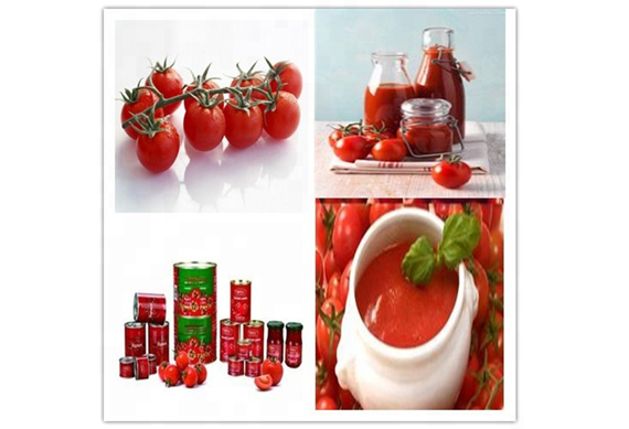 Tomato Paste Processing Plant Processing Complete Tomato Paste And Juice Processing Line Plant