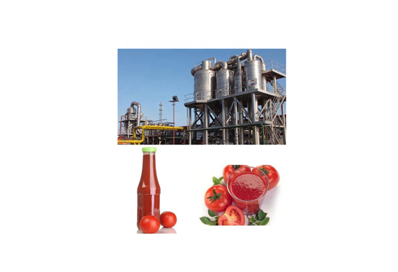 tomato paste production line