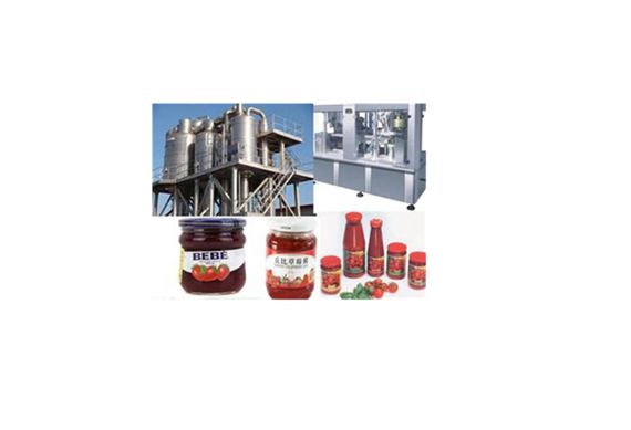 tomato paste production line