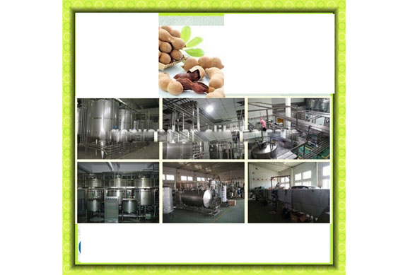 Complete tamarind juice production line / tamarind juicing machine