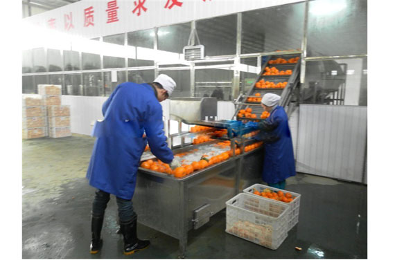 Mobile fresh fruit and vegetable juice processing complete sets of equipment