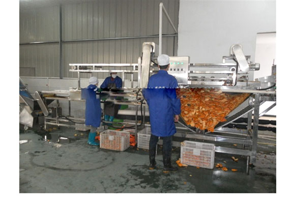 Mobile fresh fruit and vegetable juice processing complete sets of equipment