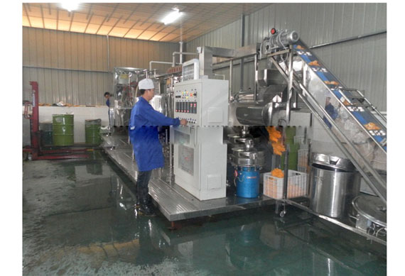 Mobile fresh fruit and vegetable juice processing complete sets of equipment