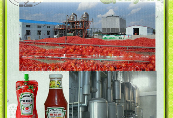 tomato paste making machine