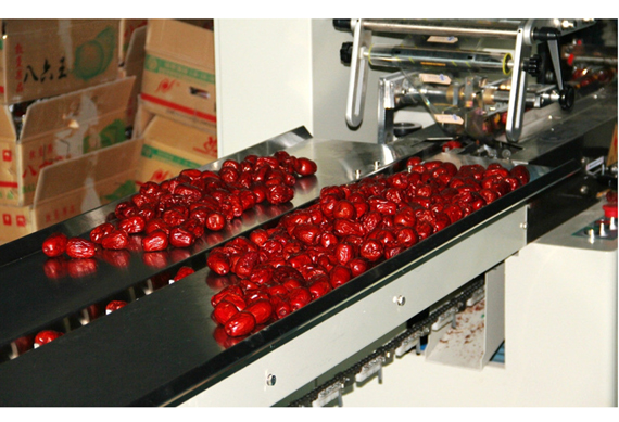 100kg/hour red Dates paste machinery/Dates honey making equipment