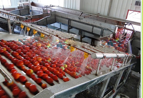 Small scale tomato paste making and packing line / ketchup filling machine