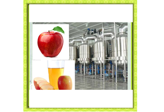 Industrial cashew apple juicing plant / cashew apple juice production line