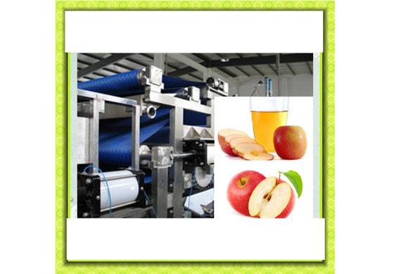 Industrial cashew apple juicing plant / cashew apple juice production line