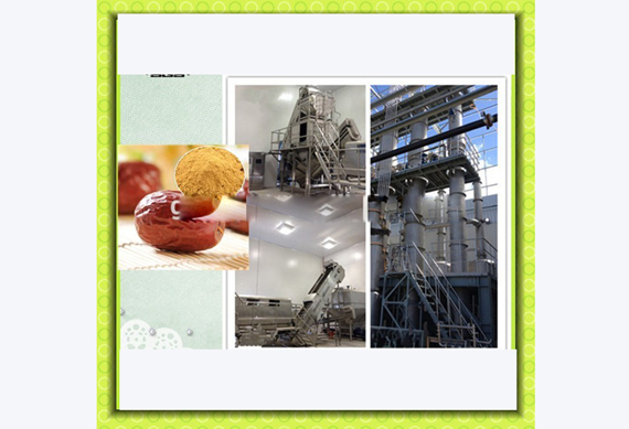 Palm date instant powder processing plant / date extract processing plant