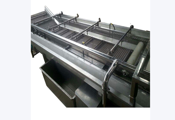 stainless steel date washing machine/palm date processing line/jujube washing machine